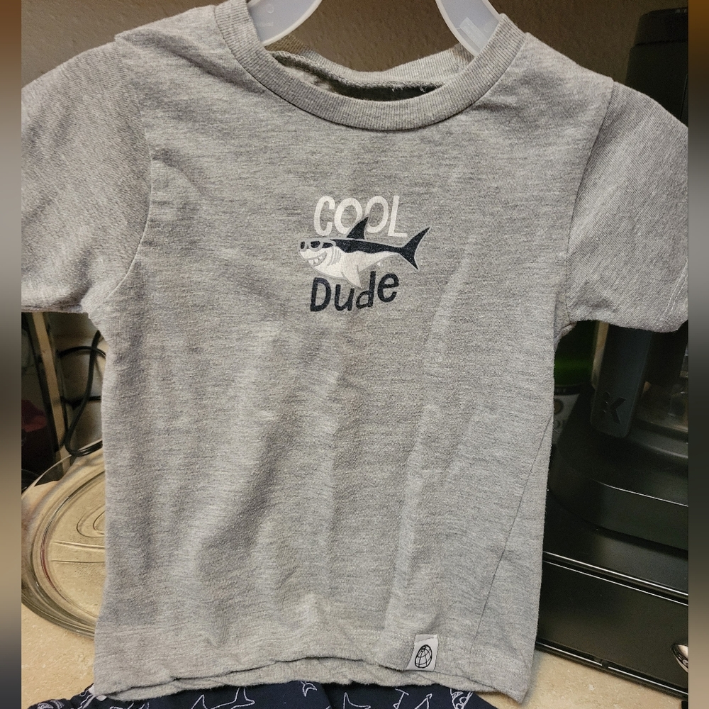 2 Boys Outfit Size 2t And 3t